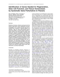 Identification of Genes Needed for Regeneration, Stem Cell Function, and Tissue Homeostasis by Systematic Gene Perturbation in Planaria