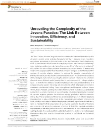 Unraveling the Complexity of the Jevons Paradox: the Link Between Innovation, Efﬁciency, and Sustainability