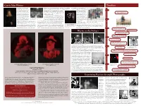 Carrie Mae Weems a Biography Timeline