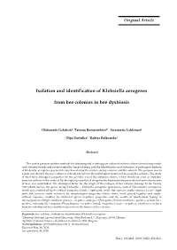Isolation and Identification of Klebsiella Aerogenes from Bee