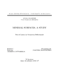 Minimal Surfaces, a Study