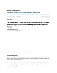 The Identification, Characterization, and Expression of Truncated Hemoglobin Genes in the Nitrogen-Fixing Actinorhizal Symbiont Frankia