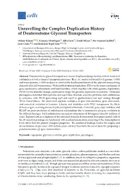 Unravelling the Complex Duplication History of Deuterostome Glycerol Transporters