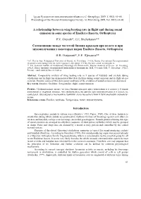 A Relationship Between Wing Beating Rate in Flight and During Sound Emission in Some Species of Ensifera (Insecta, Orthoptera) P