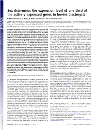 Sex Determines the Expression Level of One Third of the Actively Expressed Genes in Bovine Blastocysts