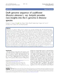 Draft Genome Sequence of Cauliflower (Brassica Oleracea L. Var. Botrytis)
