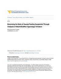 Discerning the Diets of Sweep-Feeding Eurypterids Through Analyses of Mesh-Modified Appendage Armature