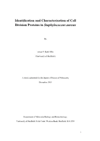 Identification and Characterisation of Cell Division Proteins in Staphylococcus Aureus