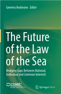 Gemma Andreone Editor Bridging Gaps Between National, Individual