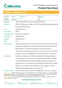 ATXN2L Sirna (Mouse)