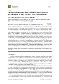 Emerging Functions for Cell Wall Polysaccharides Accumulated During Eudicot Seed Development