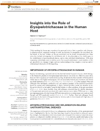 Insights Into the Role of Erysipelotrichaceae in the Human Host