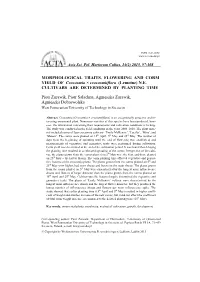 MORPHOLOGICAL TRAITS, FLOWERING and CORM YIELD of Crocosmia × Crocosmiiflora (Lemoine) N.E