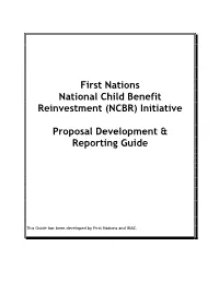 (NCBR) Initiative Proposal Development & Reporting Guide