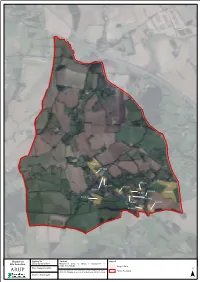 Report on Site Selection