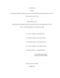 A Dissertation Entitled Evolutionary Patterns and Occurrences of The