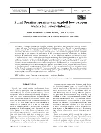 Sprat Sprattus Sprattus Can Exploit Low Oxygen Waters for Overwintering