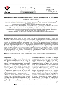 Expression Pattern of Olfactory Receptor Genes in Human Cumulus Cells As an Indicator for Competent Oocyte Selection