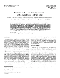 Amniote Yolk Sacs: Diversity in Reptiles and a Hypothesis on Their Origin RICHARD P
