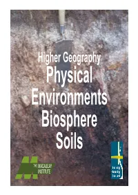 Soils and Their Main Characteristics