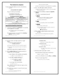 The Endocrine System