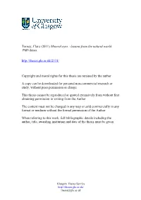 Torney, Clare (2011) Mineral Eyes : Lessons from the Natural World. Phd Thesis