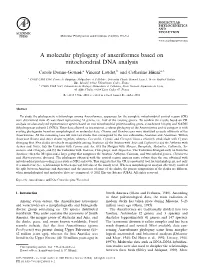 A Molecular Phylogeny of Anseriformes Based on Mitochondrial DNA Analysis
