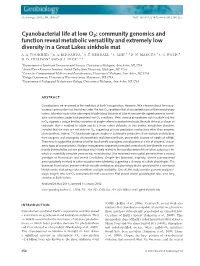 Cyanobacterial Life at Low O2: Community Genomics and Function Reveal Metabolic Versatility and Extremely Low Diversity in a Great Lakes Sinkhole Mat A
