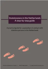 Statelessness in the Netherlands a Step-By-Step Guide