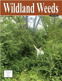 Fall 2010 Clearing a Path Through Bottomland Hardwoods Using the Basal Bark Treatment Method by Tim Albritton