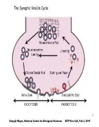 The Synaptic Vesicle Cycle
