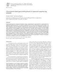 Citrus Plastid-Related Gene Profiling Based on Expressed Sequence Tag Analyses