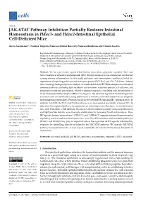 JAK-STAT Pathway Inhibition Partially Restores Intestinal Homeostasis in Hdac1- and Hdac2-Intestinal Epithelial Cell-Deﬁcient Mice
