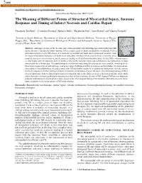 The Meaning of Different Forms of Structural Myocardial Injury, Immune Response and Timing of Infarct Necrosis and Cardiac Repair