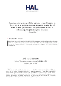 Serotonergic Neurons of the Nucleus Raphe Magnus in the Control Of