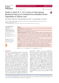Study of Vana, B, C, D, E Genes in Vancomycin Resistant Enterococci Isolated from Retailed Dried Vegetables in Tehran, Iran