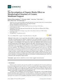 The Investigation of Organic Binder Effect on Morphological Structure Of