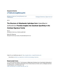 The Structure of Allophanate Hydrolase from Granulibacter Bethesdensis Provides Insights Into Substrate Specificity in the Amidase Signature Family