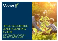 Tree Selection and Planting Guide for Planting Within 8M of Power Lines Choose Trees Carefully