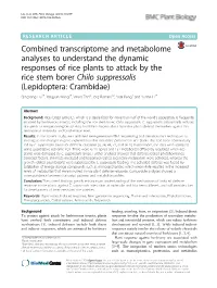Combined Transcriptome and Metabolome Analyses to Understand the Dynamic Responses of Rice Plants to Attack by the Rice Stem