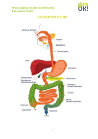 Wind, Burping, Flatulence and Bloating Information Leaflet