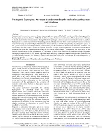 Pathogenic Leptospira: Advances in Understanding the Molecular Pathogenesis and Virulence