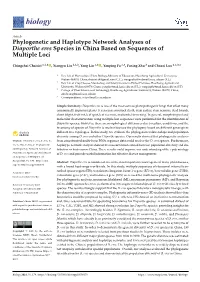 Phylogenetic and Haplotype Network Analyses of Diaporthe Eres Species in China Based on Sequences of Multiple Loci