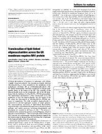 Translocation of Lipid-Linked Oligosaccharides Across the ER