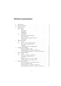 Workflow Documentation