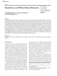Handedness and White Matter Networks