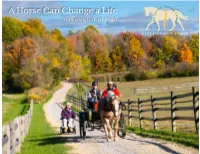 2019 ANNUAL REPORT Horses Change Us