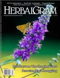 Helichrysum: the Sleeping Giant Peruvian Maca Smuggling