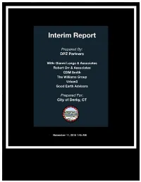 Interim Report