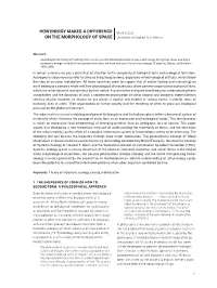 Proceeding Book Mark Balzar.Pdf (155.7Kb)